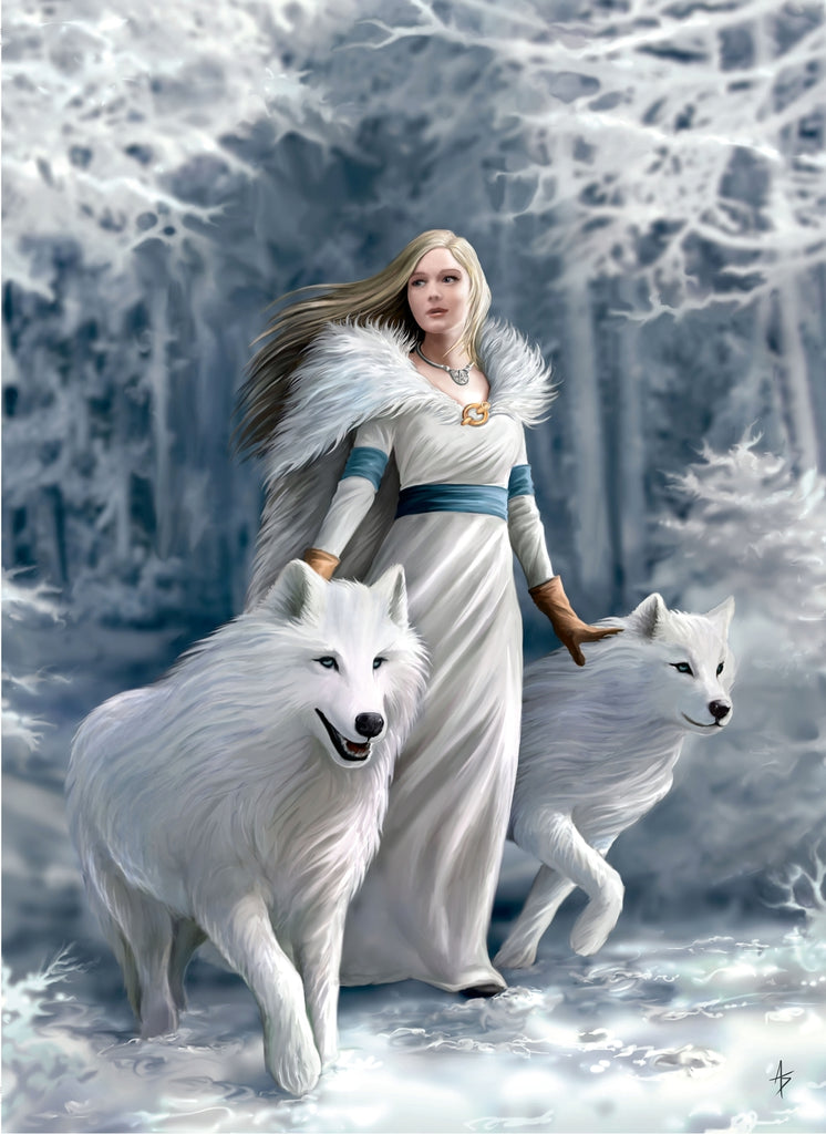 Clementoni: Anne Stokes Collection - Winter Guardians (1000pc Jigsaw) Board Game