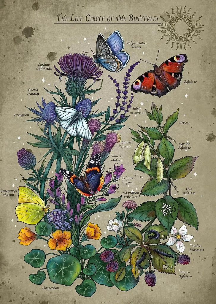 Ravensburger: Lifecircle Butterfly Puzzle (1000pc Jigsaw) Board Game