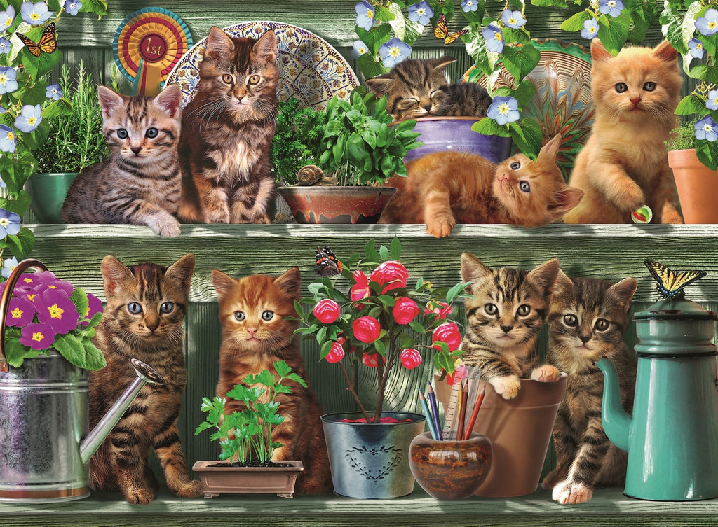 Ravensburger: Cats on the Shelf (500pc Jigsaw) Board Game