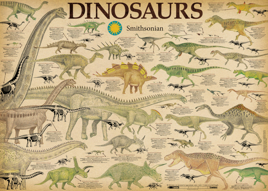 Smithsonian: Dinosaurs (1000pc Jigsaw) Board Game