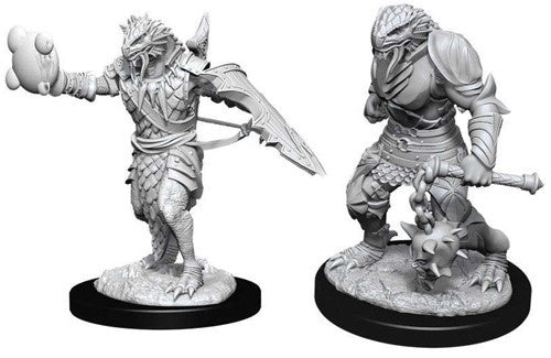 D&D Nolzur's Marvelous Miniatures - Male Dragonborn Paladin