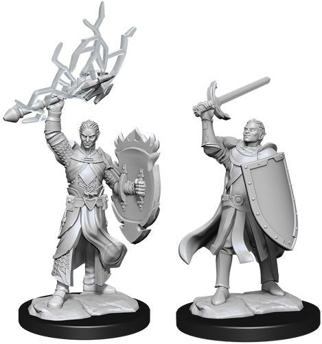 D&D Nolzur's Marvelous: Unpainted Miniatures - Half-Elf Paladin Male