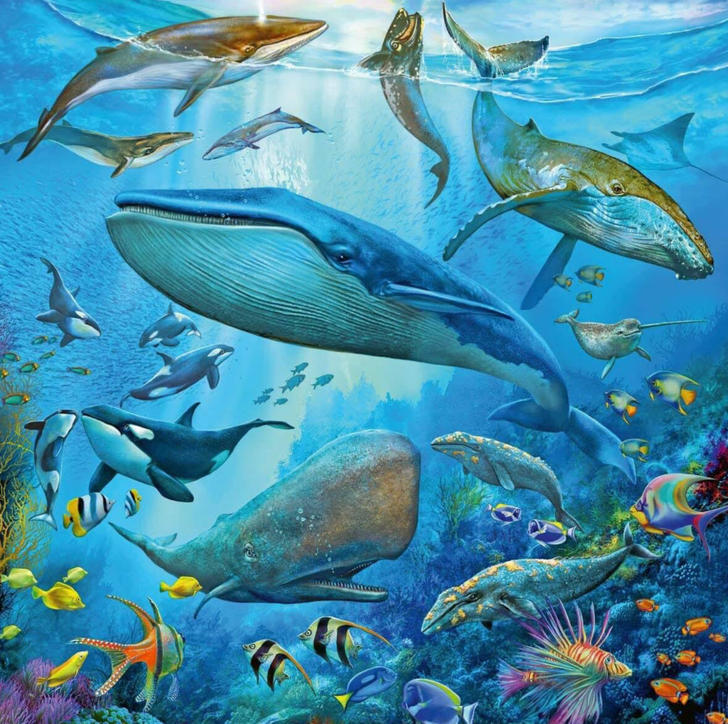 Ravensburger: Ocean Life (3x49pc Jigsaws) Board Game