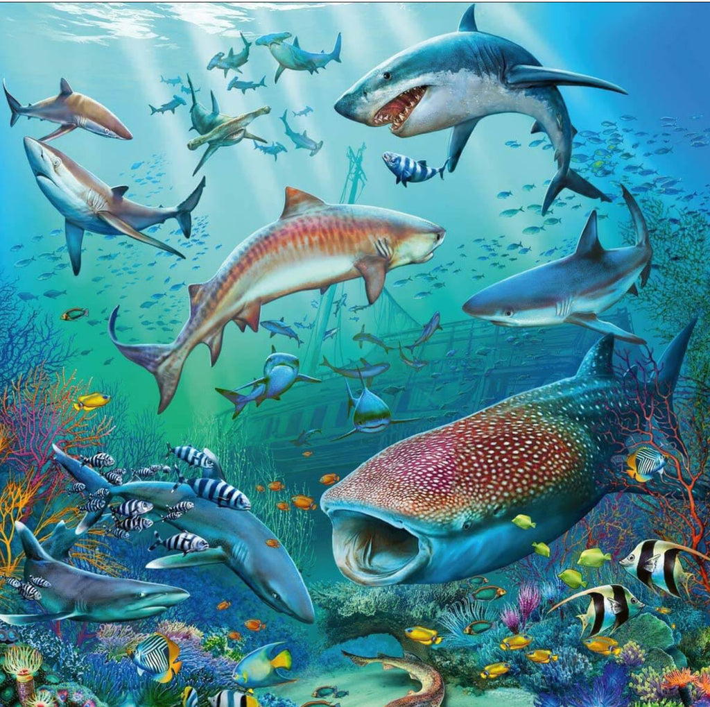 Ravensburger: Ocean Life (3x49pc Jigsaws) Board Game