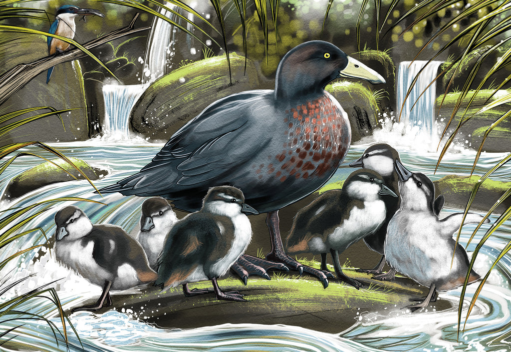 Treasures of Aotearoa: Blue Duck Brood (300pc Jigsaw) Board Game