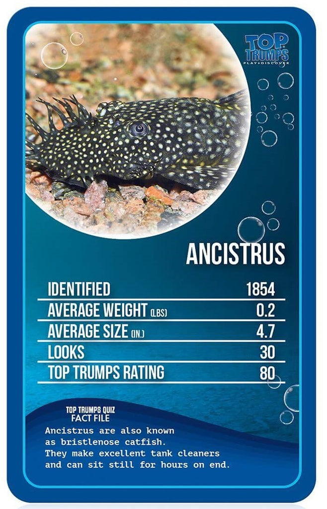 Top Trumps: Freshwater Fish Board Game