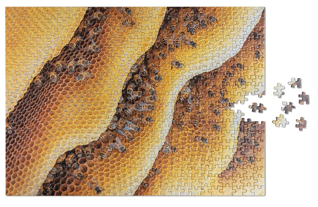 Wildlife Pattern: Bee Puzzle (500pc Jigsaw) Board Game