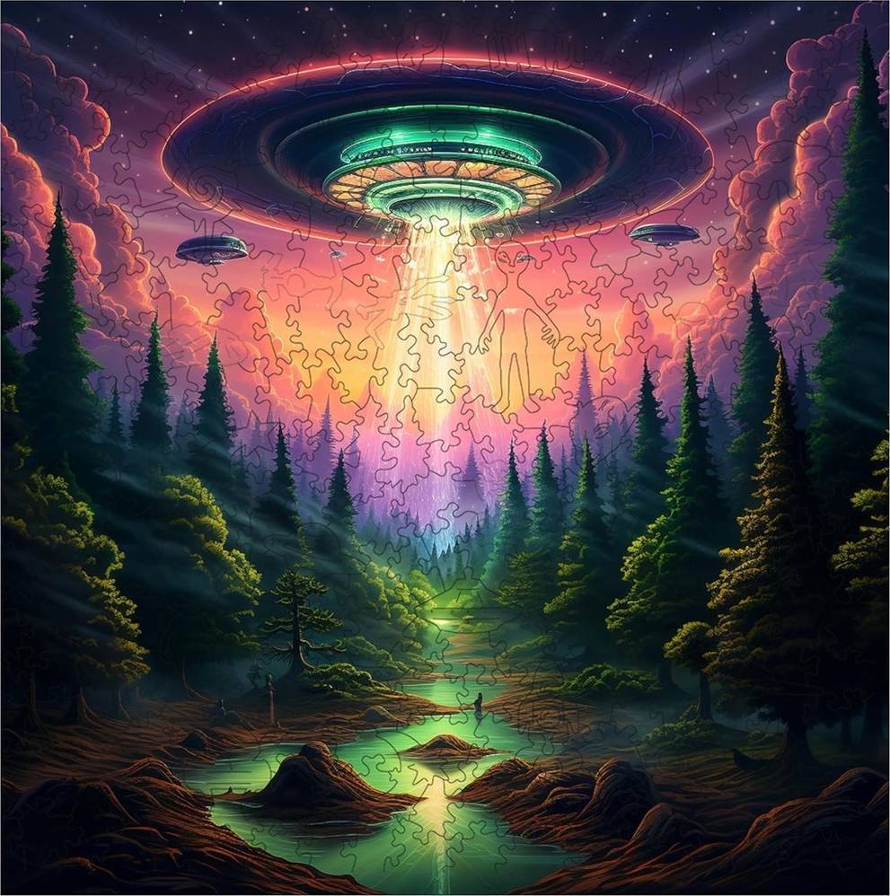 Trippy Puzzles: Earthly Encounter Puzzle (1000pc Jigsaw) Board Game