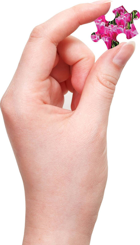 Hinkler: Mindbogglers - Take Me to the Netherlands Puzzle (500pc Jigsaw) Board Game